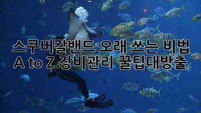 스쿠버칼밴드🌊 오래 쓰는 비법 A to Z! #장비관리 #꿀팁대방출