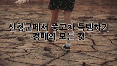 산청군에서 중고차 득템하기: 경매의 모든 것