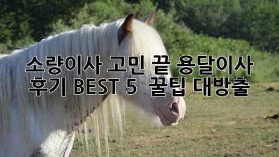 소량이사 고민 끝! 용달이사 후기 BEST 5 & 꿀팁 대방출🍯