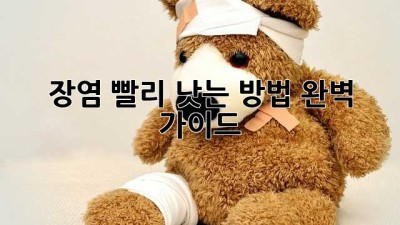 장염, 빨리 낫는 방법 완벽 가이드